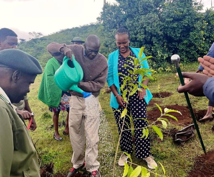 Secretary Administration, Mr. Abednego Etyang’, waters a newly planted tree during the State Department’s tree growing exercise at Ngong Hills.